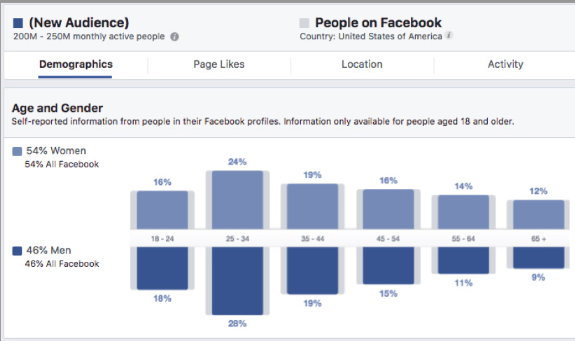 Facebook Ad Demographics